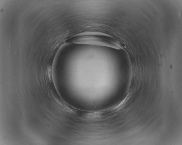 X0000073980094200608211306