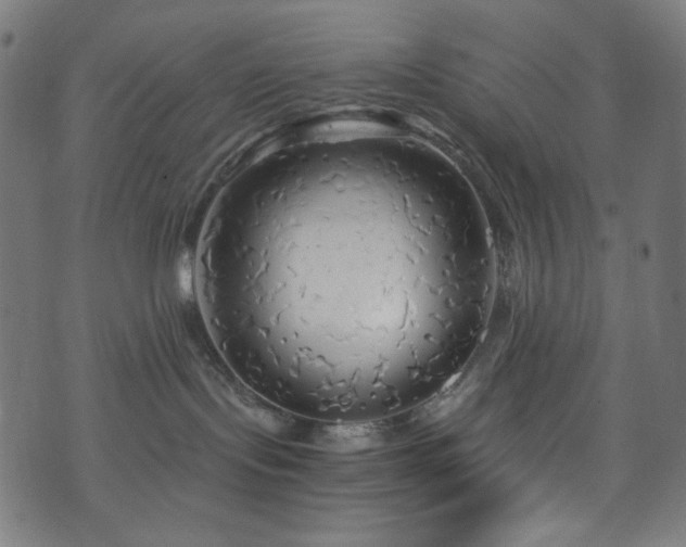 X0000073980095200608211306