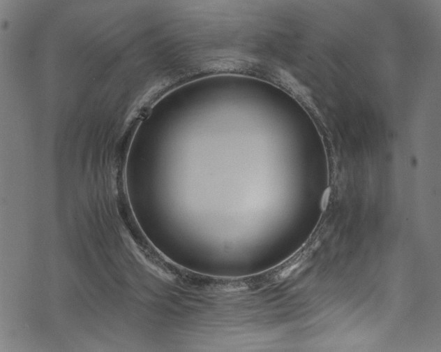 X0000073980106200608211305