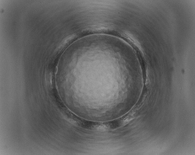X0000073980115200608211304