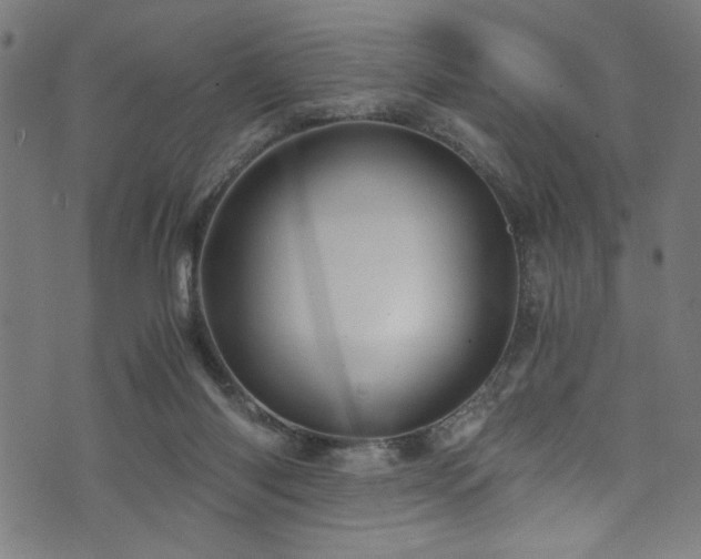 X0000073980118200608211304