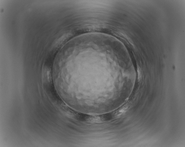 X0000073980123200608211304