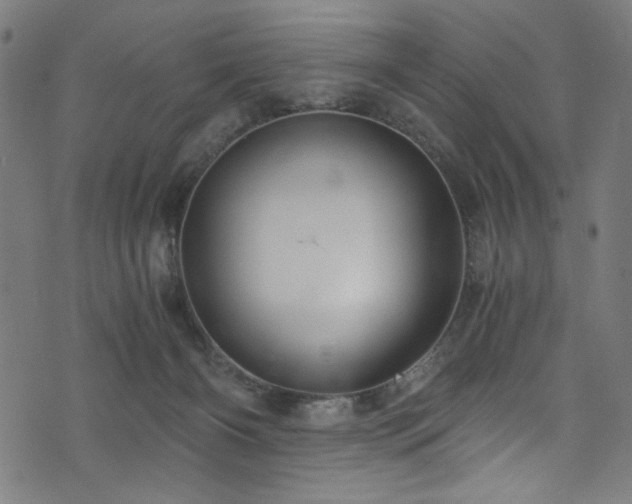 X0000073980126200608211304