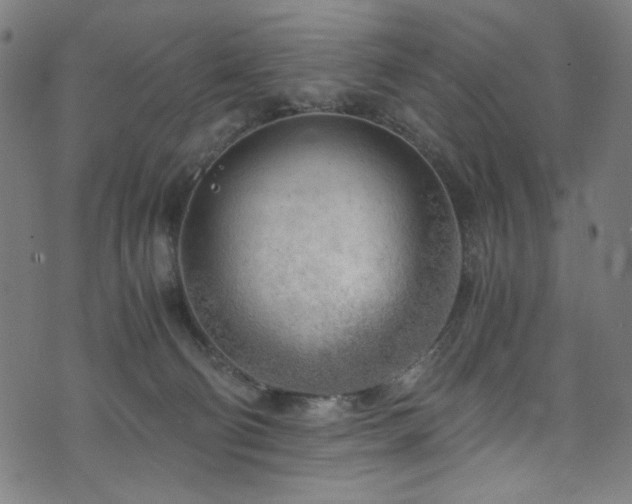 X0000073980130200608211304