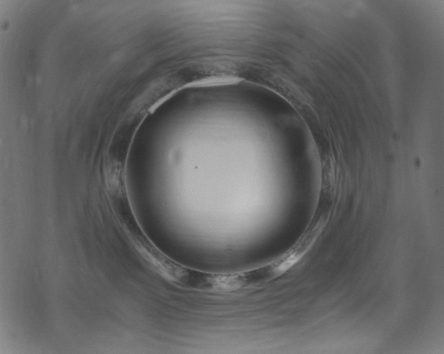 X0000073980141200608211304