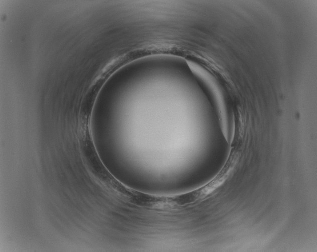 X0000073980168200608211304