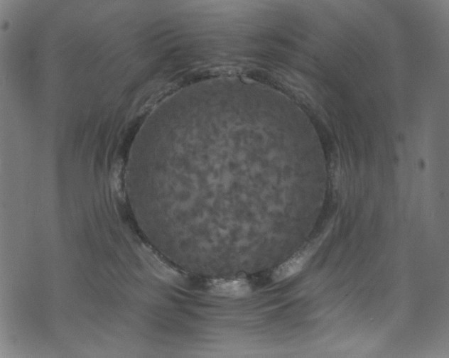X0000073980185200608211304