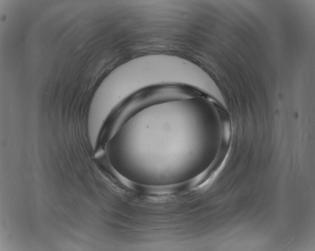 X0000073980190200608211304