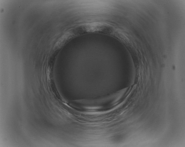 X0000073980219200608211303