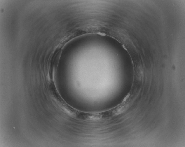 X0000073980232200608211303