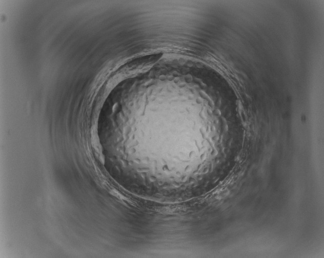 X0000073980241200608211302