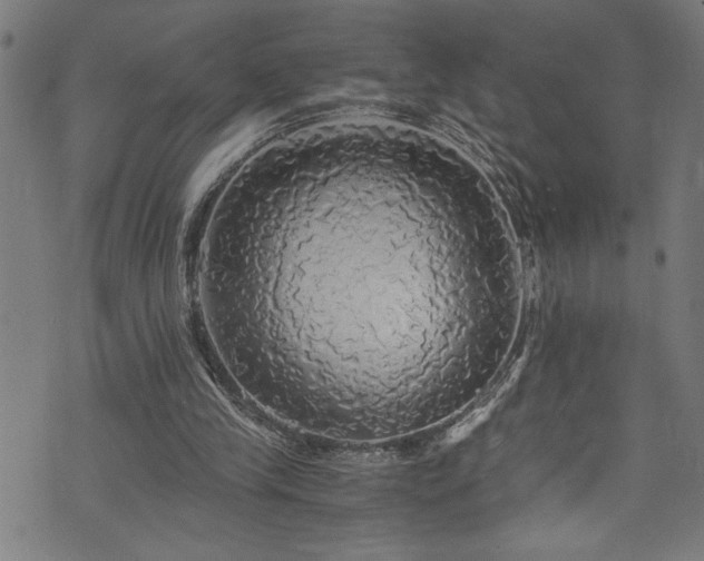 X0000073980245200608211302