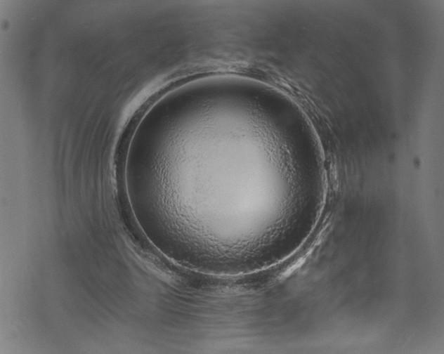 X0000073980246200608211302