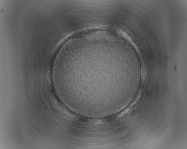 X0000073980249200608211302