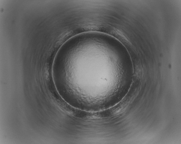 X0000073980259200608211302