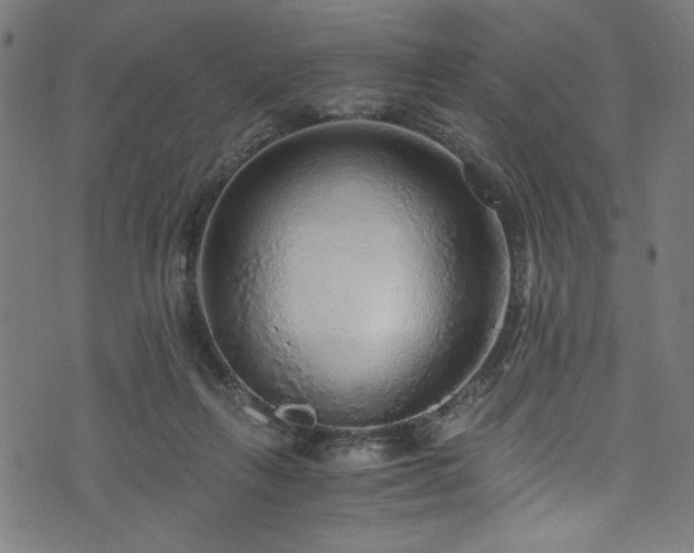 X0000073980263200608211302