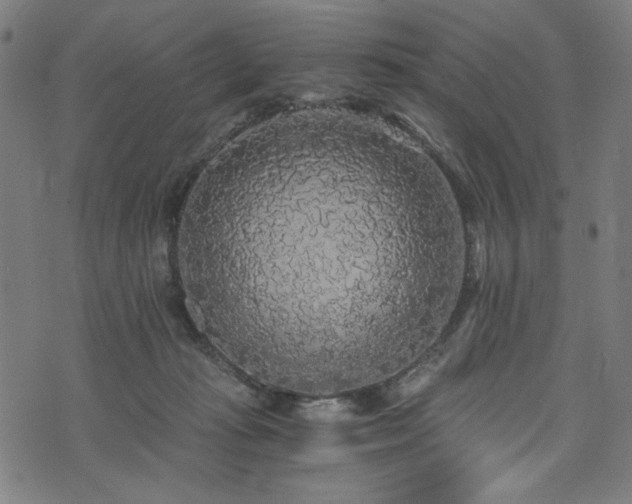 X0000073980269200608211302