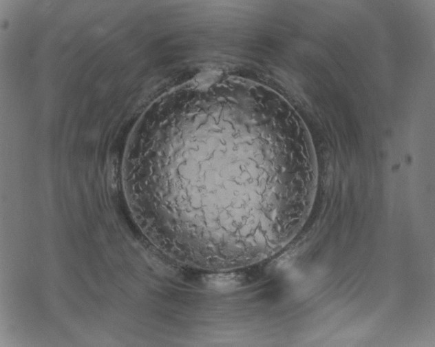 X0000073980273200608211302