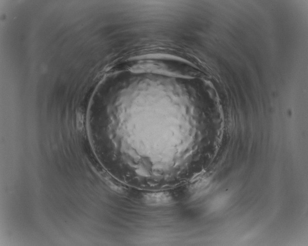 X0000073980281200608211302