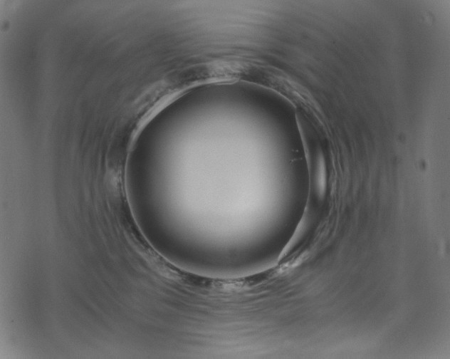 X0000073980329200608211301