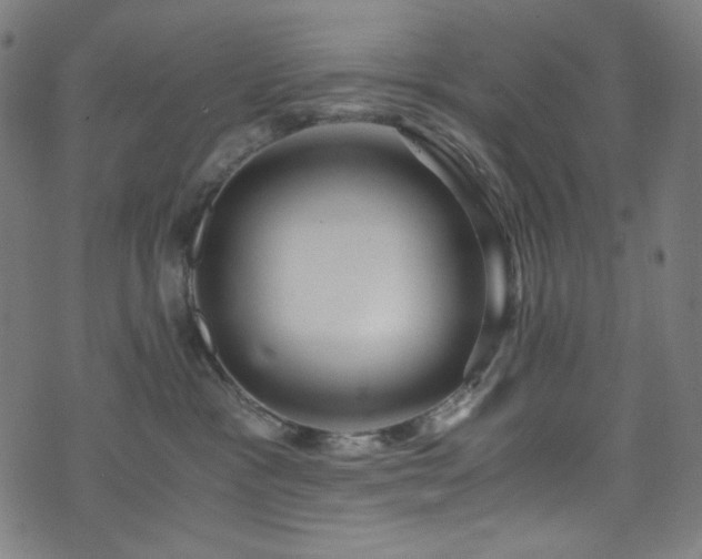 X0000073980333200608211301