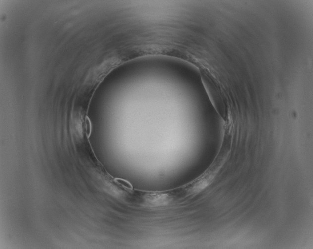 X0000073980334200608211301