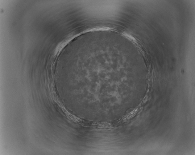 X0000073980337200608211300