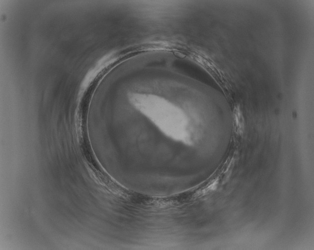 X0000073980343200608211300
