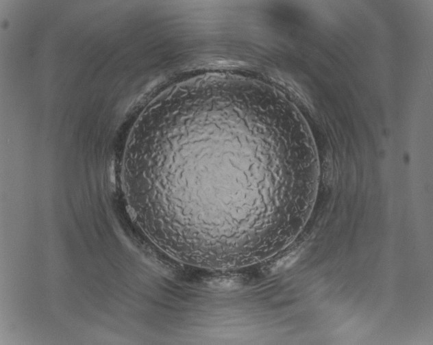 X0000073980358200608211300