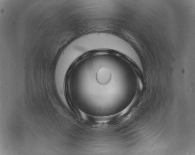 X0000073980362200608211300