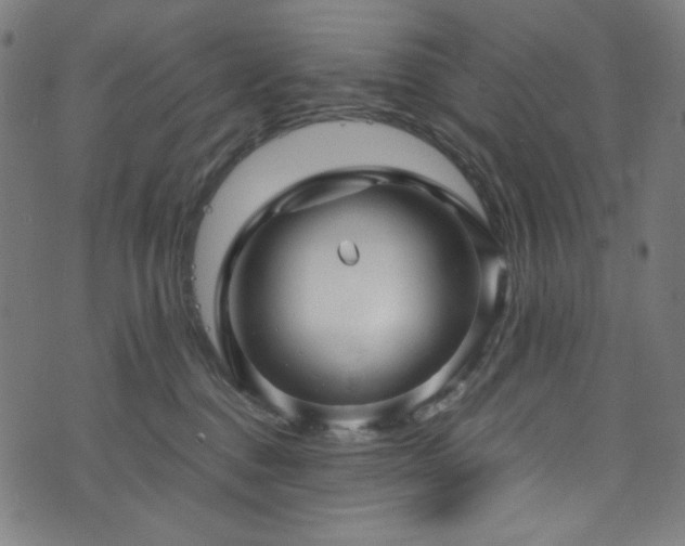 X0000073980376200608211301