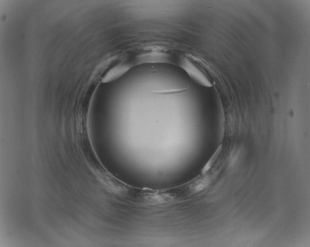 X0000073980379200608211301