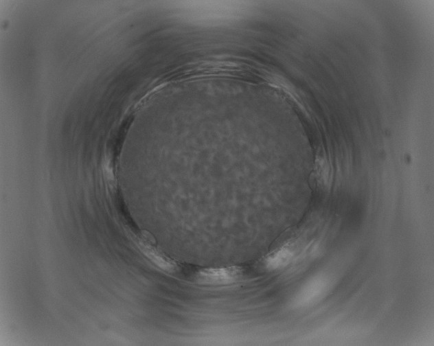 X0000073980381200608211301