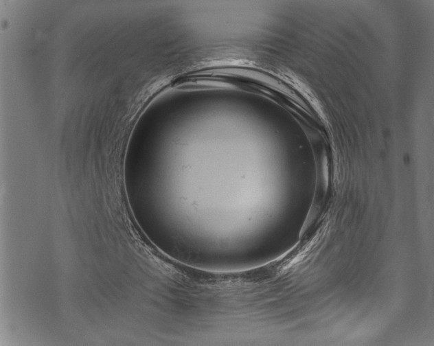 X0000073980385200608211300