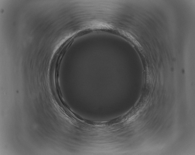 X0000073980391200608211300