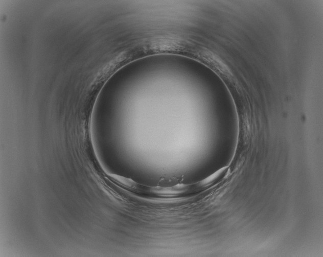 X0000073980401200608211300