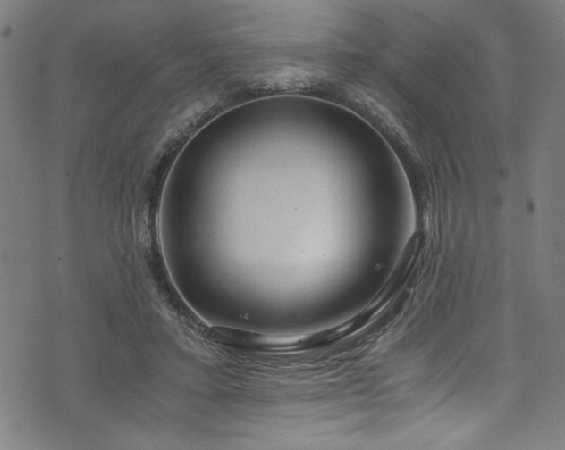 X0000073980403200608211300