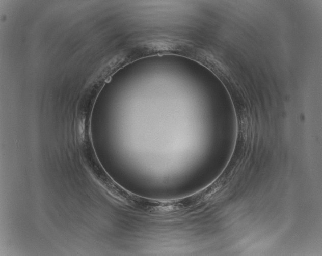 X0000073980406200608211300