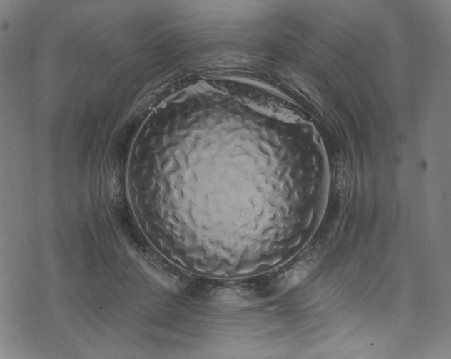 X0000073980408200608211300