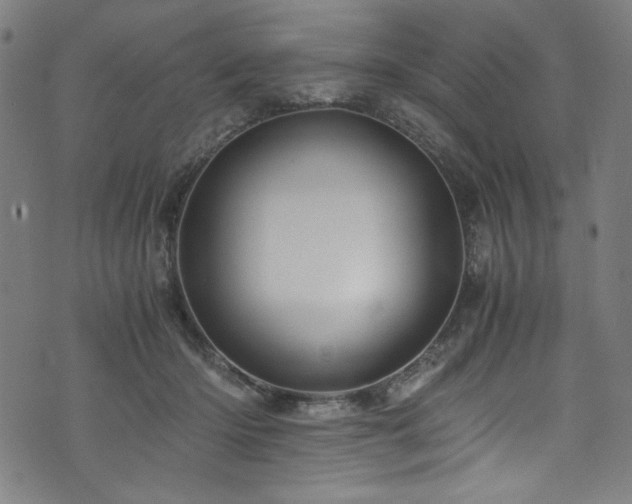 X0000073980414200608211300