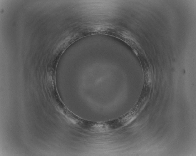 X0000073980415200608211300
