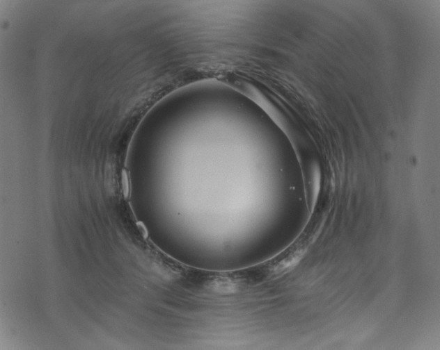 X0000073980416200608211300