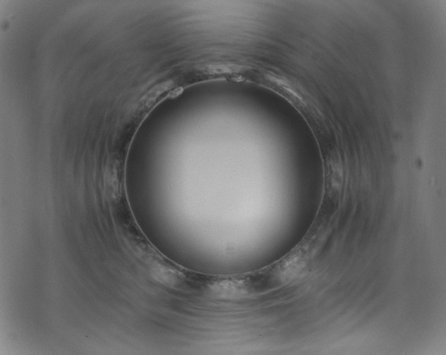 X0000073980422200608211259