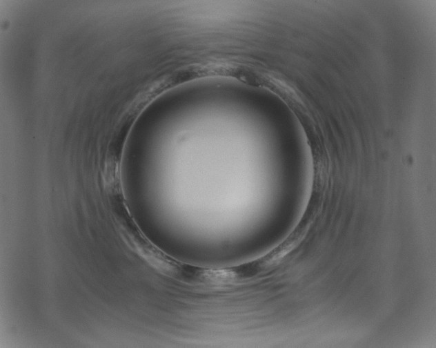 X0000073980429200608211259