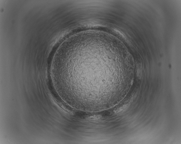 X0000073980447200608211259