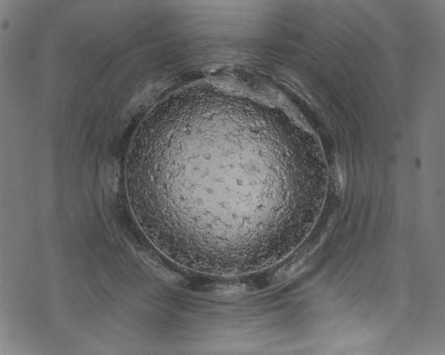 X0000073980458200608211259