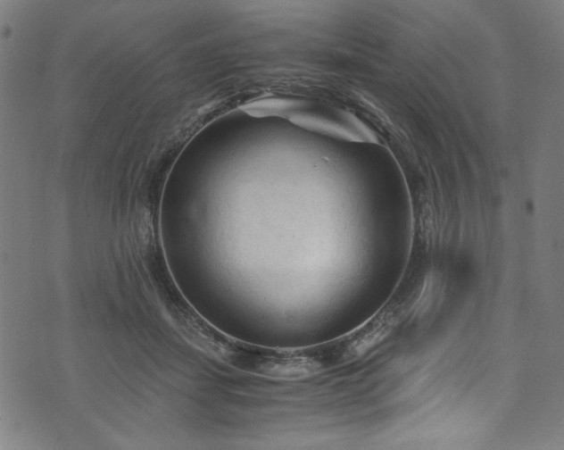 X0000073980459200608211259