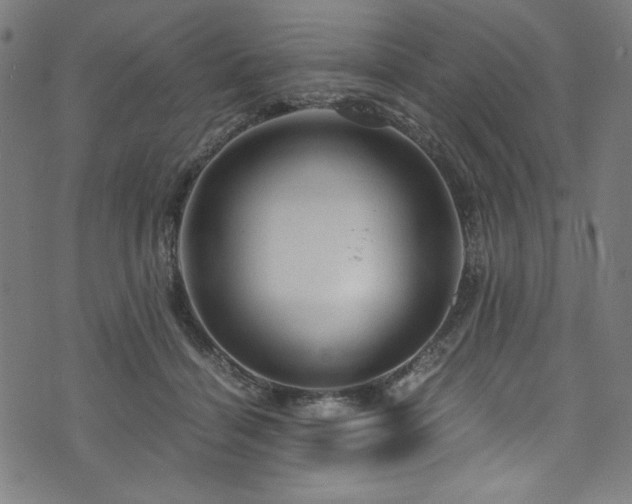 X0000073980460200608211259