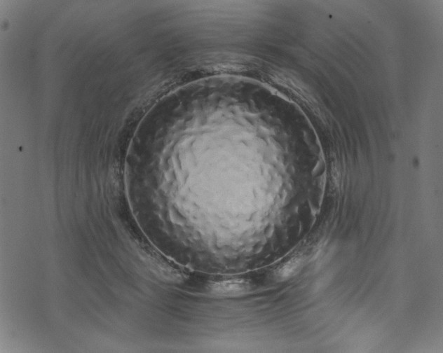X0000073980461200608211259