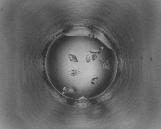 X0000073980466200608211259